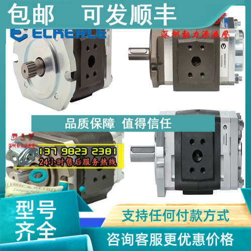 议价ECKERLE泵EIPH2-004RK23/005RK23/006RK23/008RK23/011RK23-1