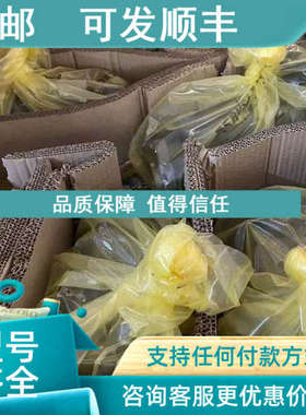 议价士力乐功率泵A0VSO /31R-VYHOPA12N001特 价