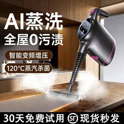 意大利蒸汽清洁机家用高温高压全屋清洗厨房家电蒸汽拖把小型一体