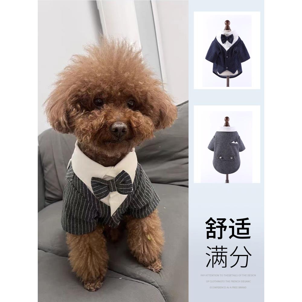 宠物男狗服装婚纱照婚礼泰迪比雄波美拉尼亚礼服伴郎嫁妆领结西装