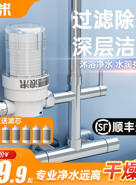 浪米小型沐浴净水器花洒过滤器自来水龙头喷家用洗澡除氯淋浴滤芯