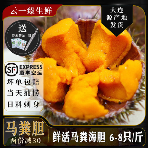 马粪海胆鲜活顺丰包邮6-8只/斤