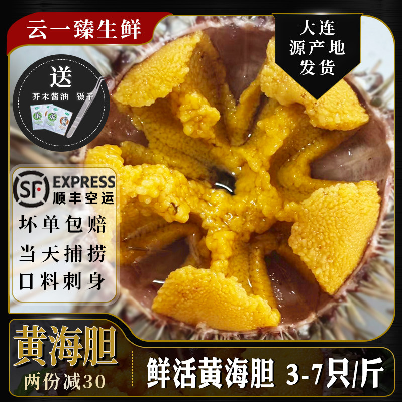 海胆鲜活紫黄胆刺身即食日料马粪海胆新鲜水饺炒饭超大连海鲜水产,水产肉类/新鲜蔬果/熟食,海胆,淘宝优惠券,粉丝福利购,淘宝优惠卷