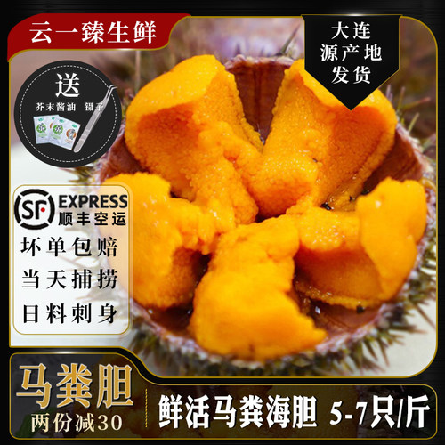 马粪海胆鲜活顺丰包邮5-7只/斤