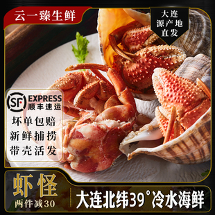虾怪鲜活食用寄居蟹非即食新鲜特大海怪大连特产螃蟹虾生海鲜水产