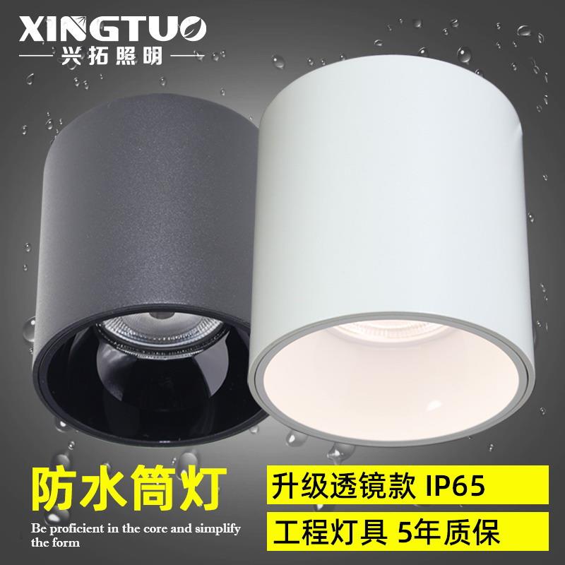 防水筒灯户外明装室外门头车站台雨棚照明灯阳光房led射灯IP65