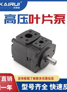 液压定量叶片泵PV2R1PV2R2PV2R3PV2R12高压油泵液压泵双联泵