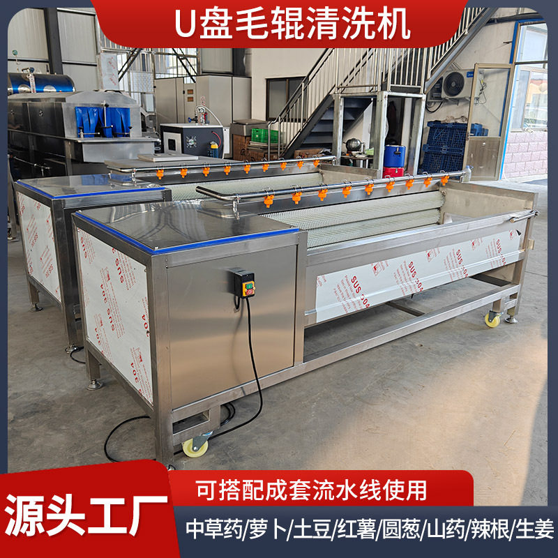 板栗甘栗仁脱衣毛刷清洗机生姜脱皮莲藕清洗设备萝卜毛辊清洗机