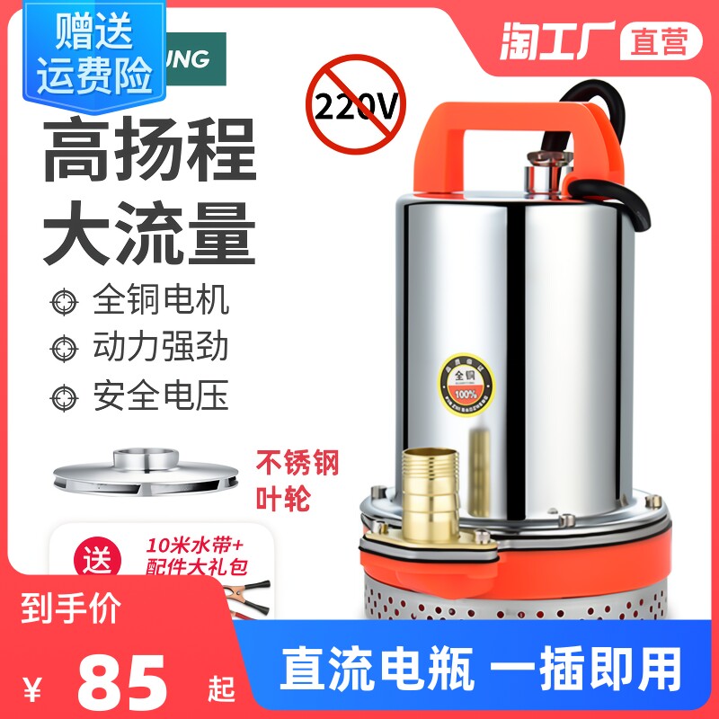 直流抽水泵家用电瓶车潜水电泵12v24v48v60v小型电动农用抽水机