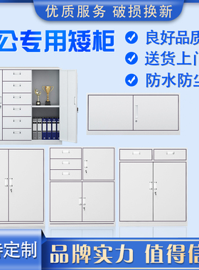 江苏省连云港市文件柜铁皮柜矮柜带锁多抽资料柜档案柜更衣储物柜