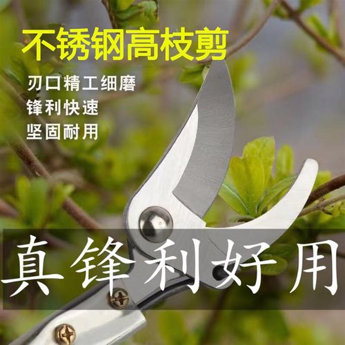 德国进口sk5不锈钢果树修枝高枝剪刀专用长伸缩杆高空剪园林神器