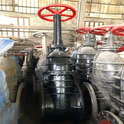 伞齿轮闸阀Z541T-10Q DN250手动铸铁闸板阀铜芯