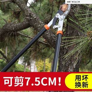 粗枝果树剪枝剪刀大力绿化修枝剪树枝园林专用强力剪子花木枝省力