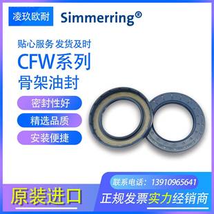 1封2 8骨架油OHI密封圈 6进口0CFW系列BAU4SLX2尺寸5 德国原装