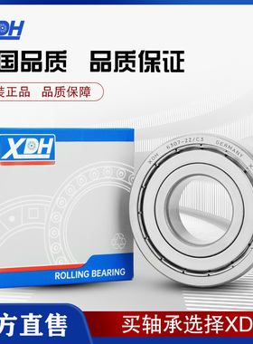 德国进口轴承6007 6008 6009 6010 6011 6012 6013 6014-2Z 2RS1