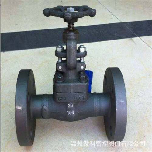 Z41Y-10C 锻钢法兰闸阀 Z41H-10C 硬密封球阀 A105锻打闸阀 DN32