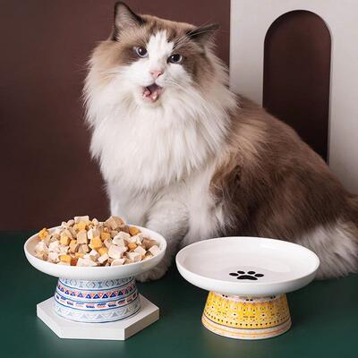 猫碗陶瓷宠物饭盆专用喝水碗狗碗猫咪猫粮斜口护颈高脚斜口猫食盆