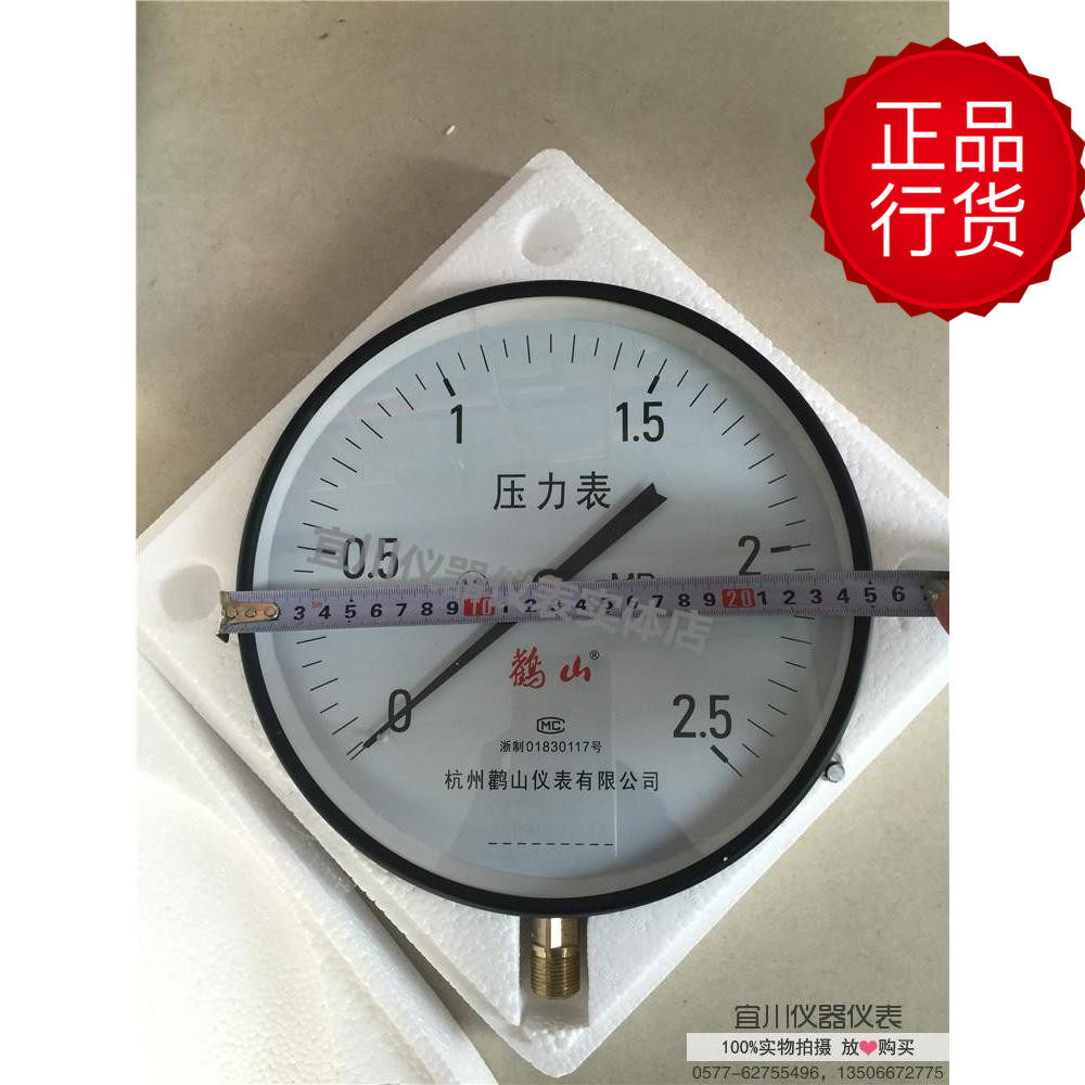 杭州鹳山仪表 Y250 Y-250 普通压力表 表盘直径25cm 螺纹M20x1.5