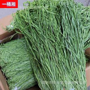 涮火锅义门贡菜干 脱水蔬菜新鲜无叶苔菜响菜干 亳州土特产贡