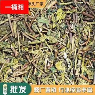 糯米香绿茶糯香柠檬青青糯山麒麟大口茶底糯香云南绿茶碧螺春烘青