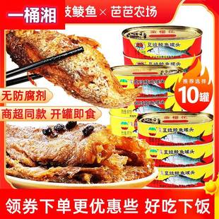 金钱花豆豉鲮鱼罐头6罐鱼中段熟食开罐即食下饭专用商用148g 10罐