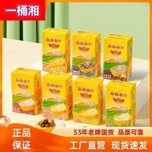 谷粒谷力红豆燕麦奶黑芝麻浓浆250mlx16盒整箱学生早餐奶
