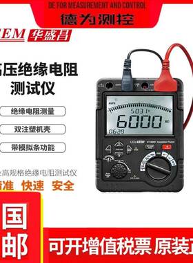 华盛昌DT-6605高压绝缘表5000V高压绝缘电阻测试仪60GΩ高电阻