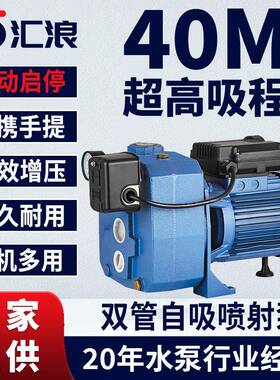 DP-505A大吸程双管泵全自动自吸家用增压水泵抽井水喷射泵自抽水