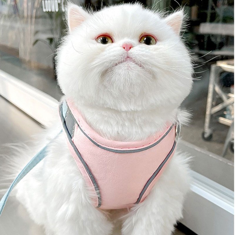 猫咪牵引绳背心式反光胸背带防挣脱可爱外出狗狗牵引绳遛猫绳