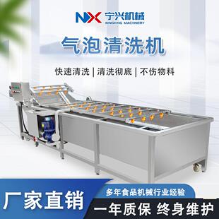 寧興新疆紅棗清洗機大型全自動紅棗加工設備多功能氣泡清洗機
