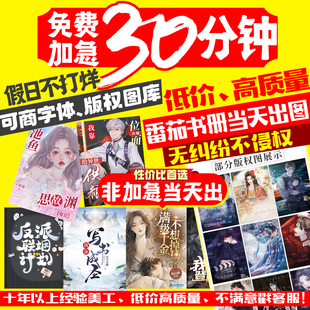 番茄起点晋江云起飞卢创世快点书耽塔读网文网络小说封面设计制作