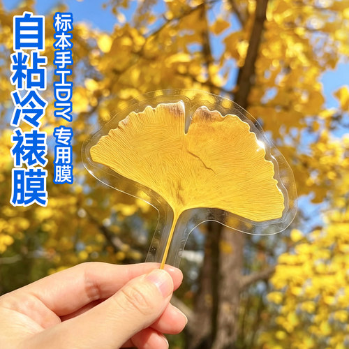 冷裱膜A4手工塑封膜6寸大头贴照片膜光面A3自粘标本保护透明自粘冷裱膜手工DIY专用膜加厚高透粘性强材料包