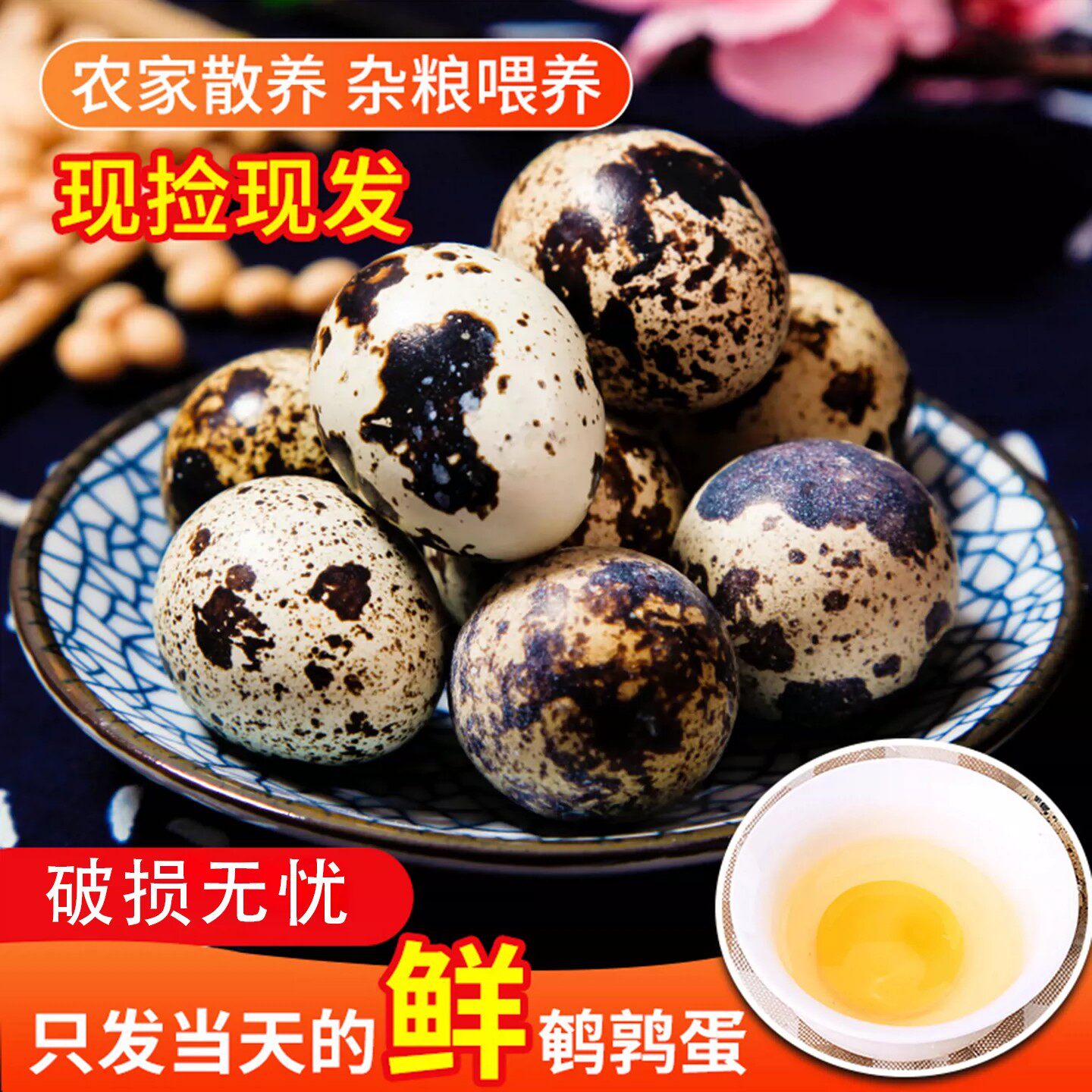 鹌鹑蛋新鲜50枚鹌鹑蛋正宗农家散养清水火锅麻辣烫食材