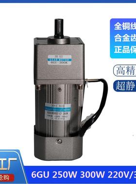 6GU250W300W三相单相微型交流可调速无极变速齿轮减速机电机马达