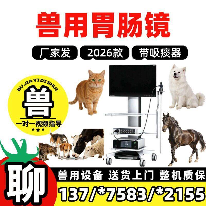 电子软镜医疗兽用设备胃部肠部检查设备狗用猫用兽用动物宠物