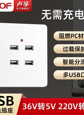 LOOF卢孚86型暗装二孔USB四孔USB手机充电USB220v36v充电插座面板
