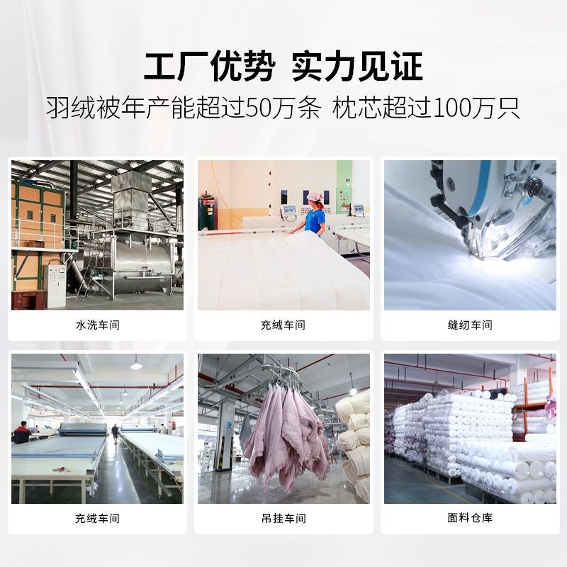 五星级酒店羽绒床垫褥子白鸭绒软垫鹅绒软垫加厚双层单人宿舍床褥
