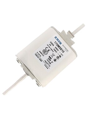 170M5810 170M5811 170M5811D 智能快速熔断器 型号齐全全新现货