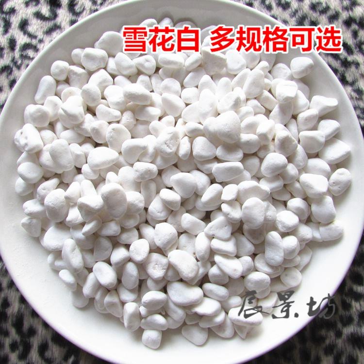 天然白色小石子装饰花园艺白石头铺地铺面砾石园林庭院鹅卵石按吨