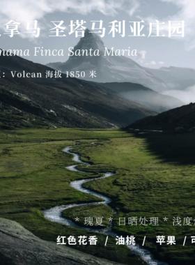 【AC Coffee】圣塔马利亚 日晒瑰夏 浅度烘焙 精品咖啡豆