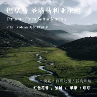 【AC Coffee】圣塔马利亚 日晒瑰夏 浅度烘焙 精品咖啡豆