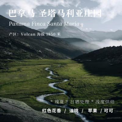AC圣塔马利亚日晒瑰夏