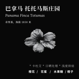 【AC Coffee】巴拿马托托马斯庄园精品咖啡豆