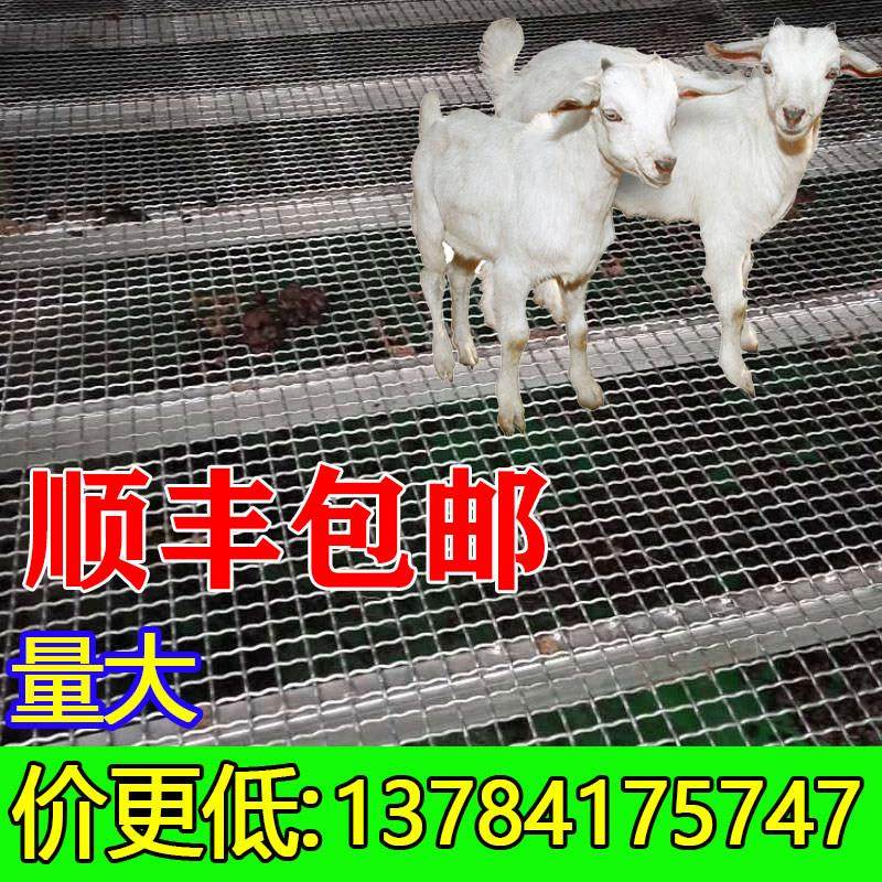 羊床钢丝网漏粪网养羊用的设备钢网鸡鸭鹅漏粪网热浸镀锌编织围栏,畜牧/养殖物资,漏粪板,淘宝优惠券,粉丝福利购,淘宝优惠卷