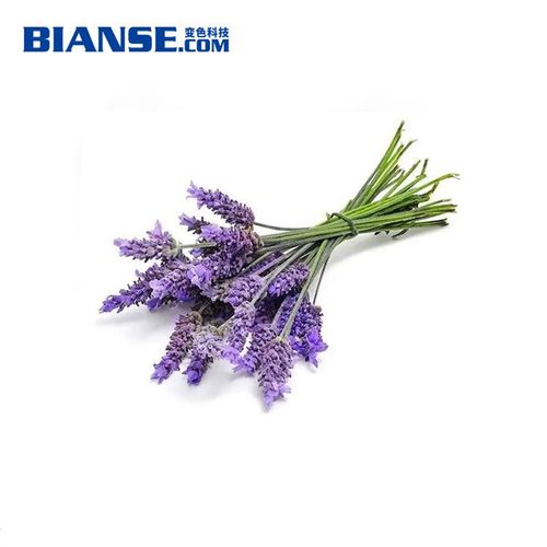 供应持久型香味油墨 摩擦发出香味(果香花香木香)环保油墨