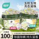 植护双拼除菌除螨洗衣凝珠柔顺护衣持久留香珠香味浓缩洗衣球实惠