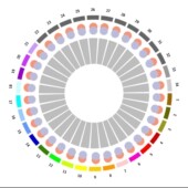 生信分析tcga geo医学科研测序生信框架梳理摘要结果方法