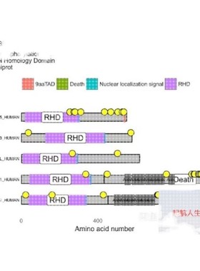 生信分析,常用的数据库如SRA,ENA,DDBJ数据库检索和下载