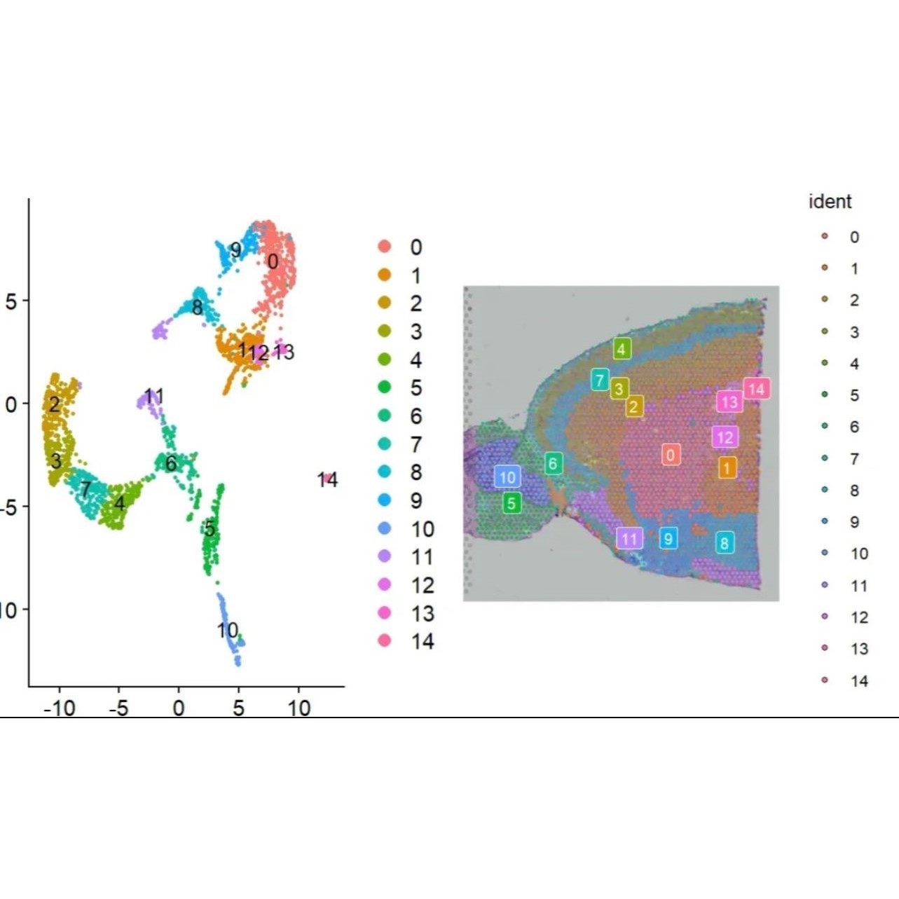 生信分析 单细胞测序动物细胞实验TCGA/GEO数据库挖掘 网络药理学,商务/设计服务,建筑及模型设计,淘宝优惠券,粉丝福利购,淘宝优惠卷
