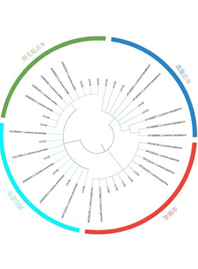 Lammps Vasp辅助网络药理学中药复方分子对接靶点筛选
